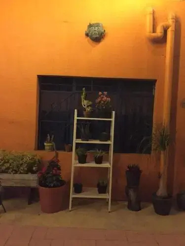 Casa Nangpa and Hostel