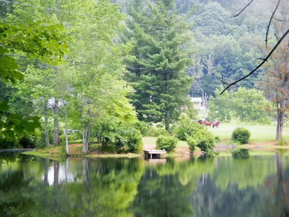 Pisgah View Ranch