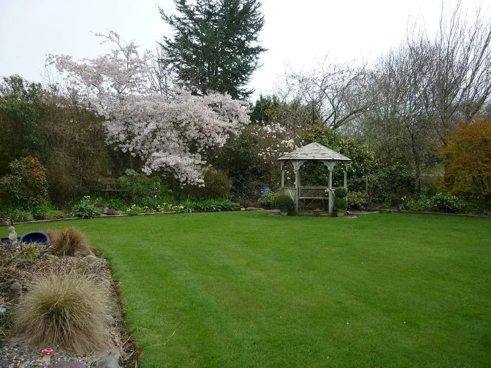 The Manor