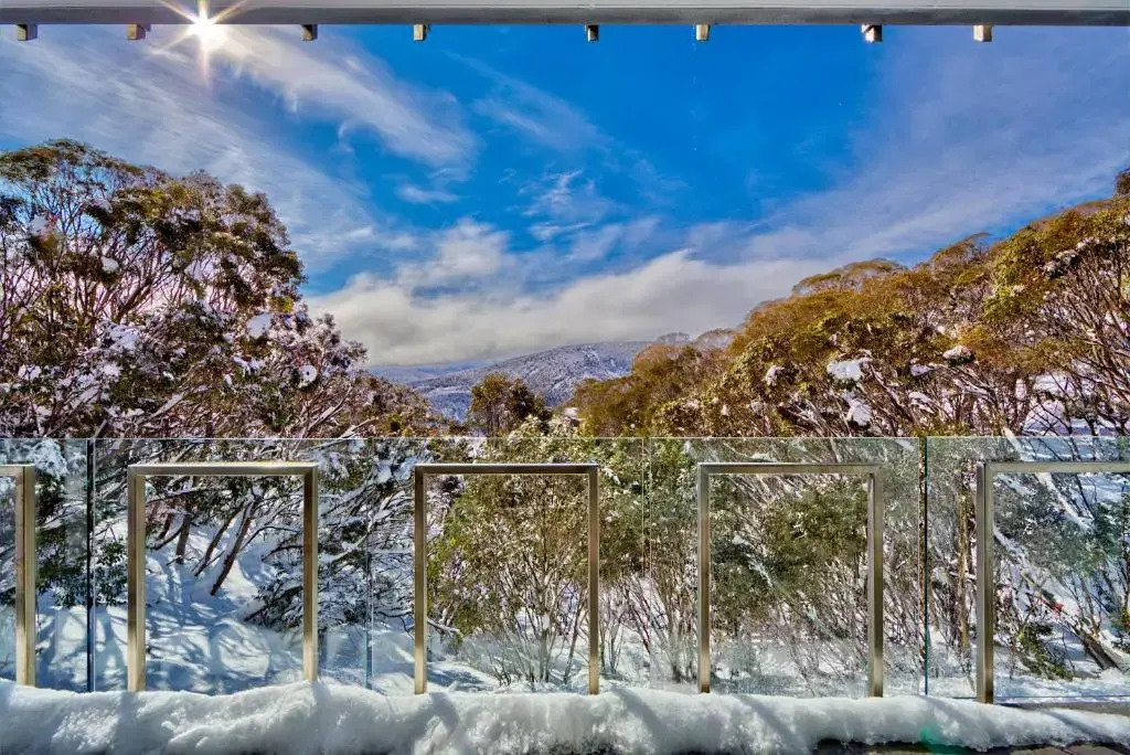 Snow Ski Apartments 18