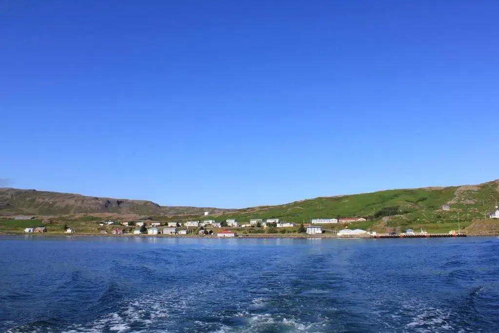 Kriukot