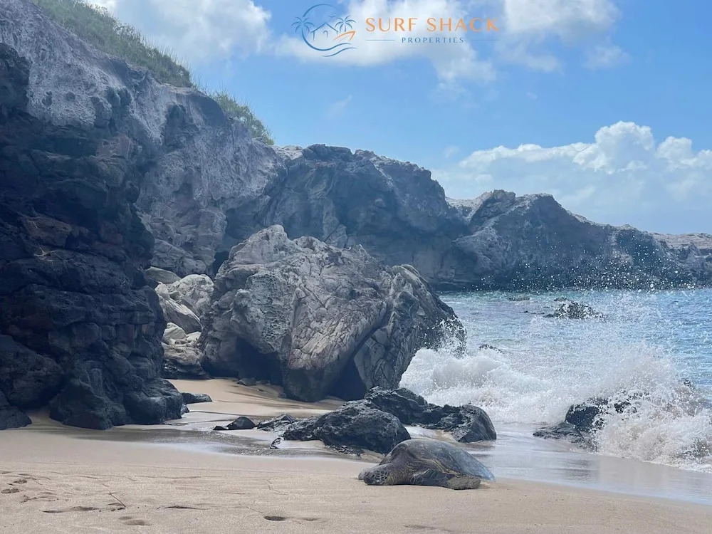 Oceanfront Seaside Sanctuary Stunning Views w 2 Lanais Whales Watching Haven