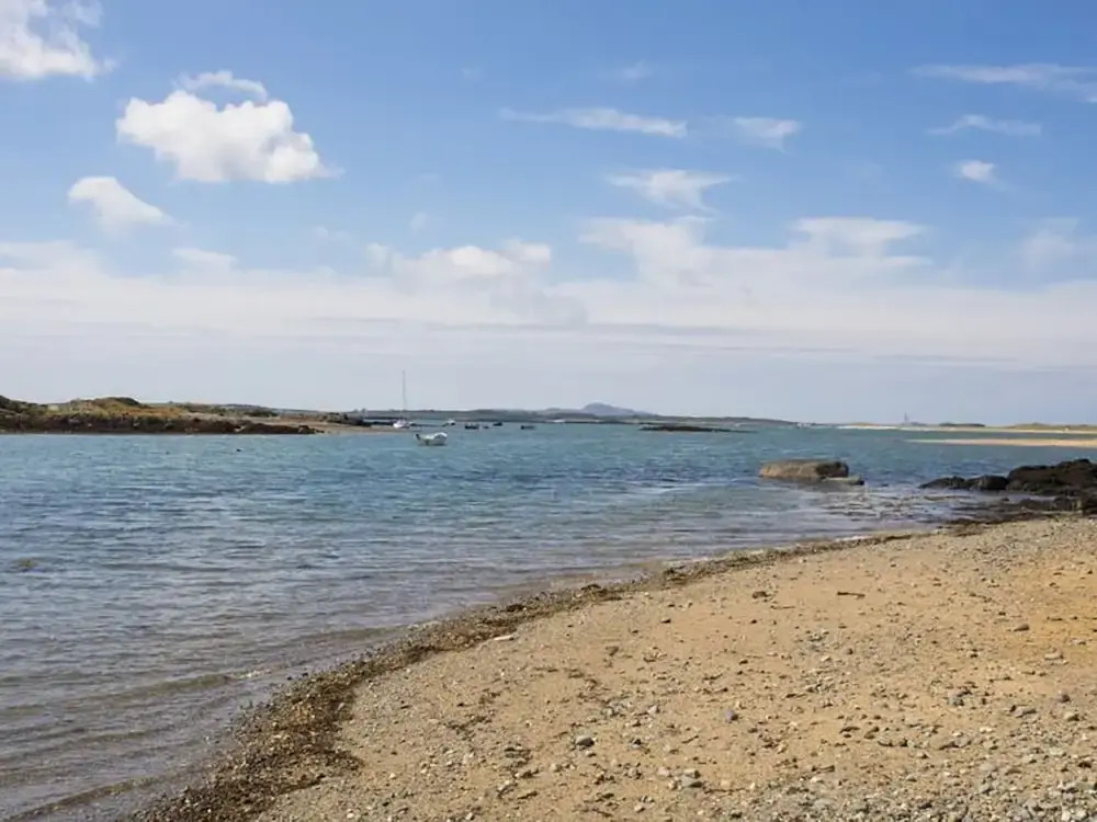 Anwylfa Bach