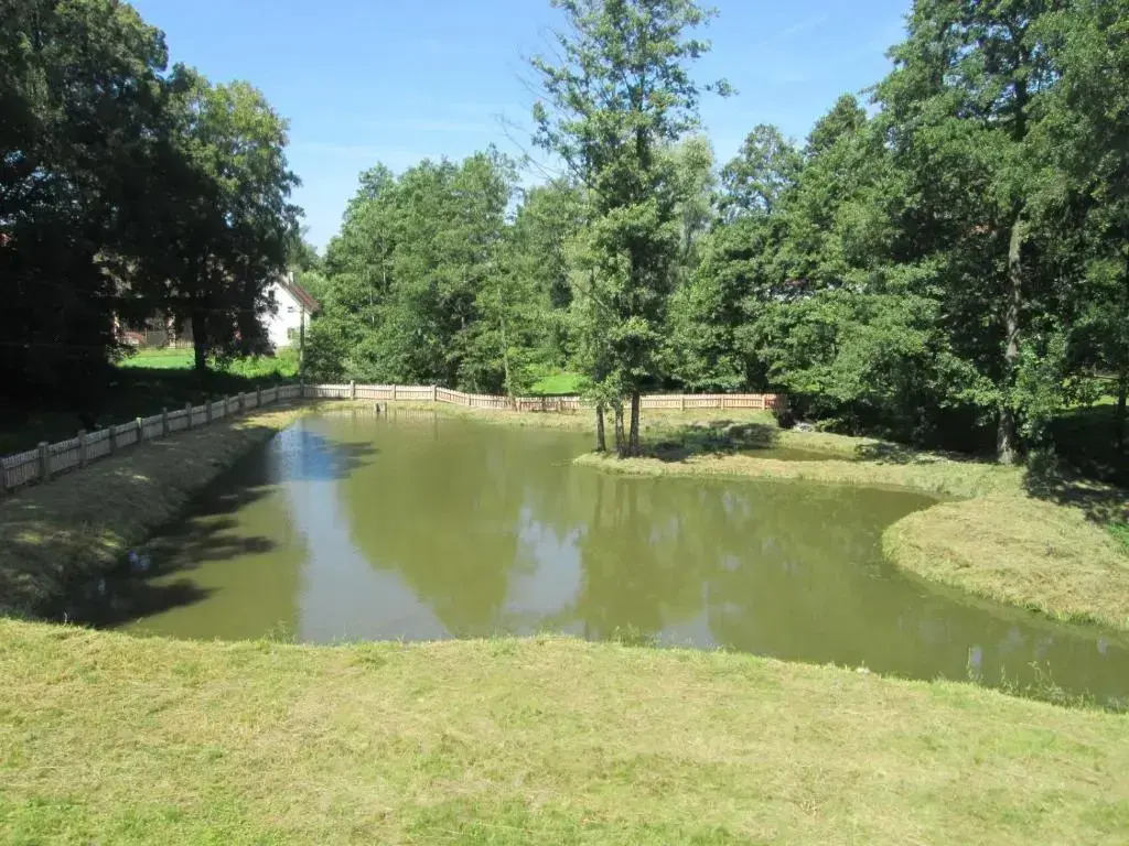 Statek Salajna