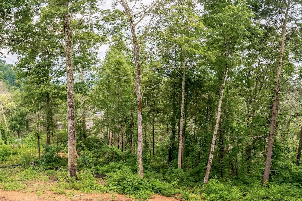 New Listing! Luxe Brand-new Mountain 5 Bedroom Home