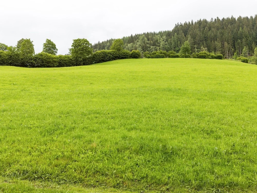 Apartment in Mittersill near Kitzbühel Ski Area