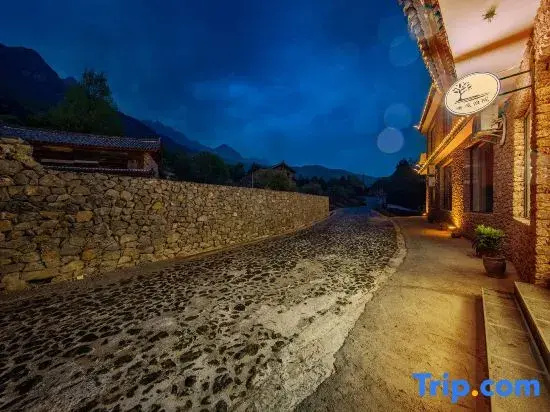Listening to the wind · Courtyard Green Forest Rizhao Jinshan View Inn (Yulong Snow Mountain)