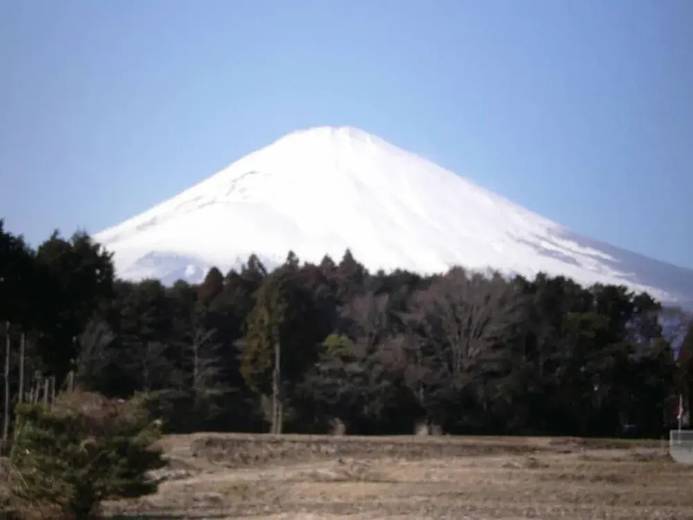Nankai Yakusokan