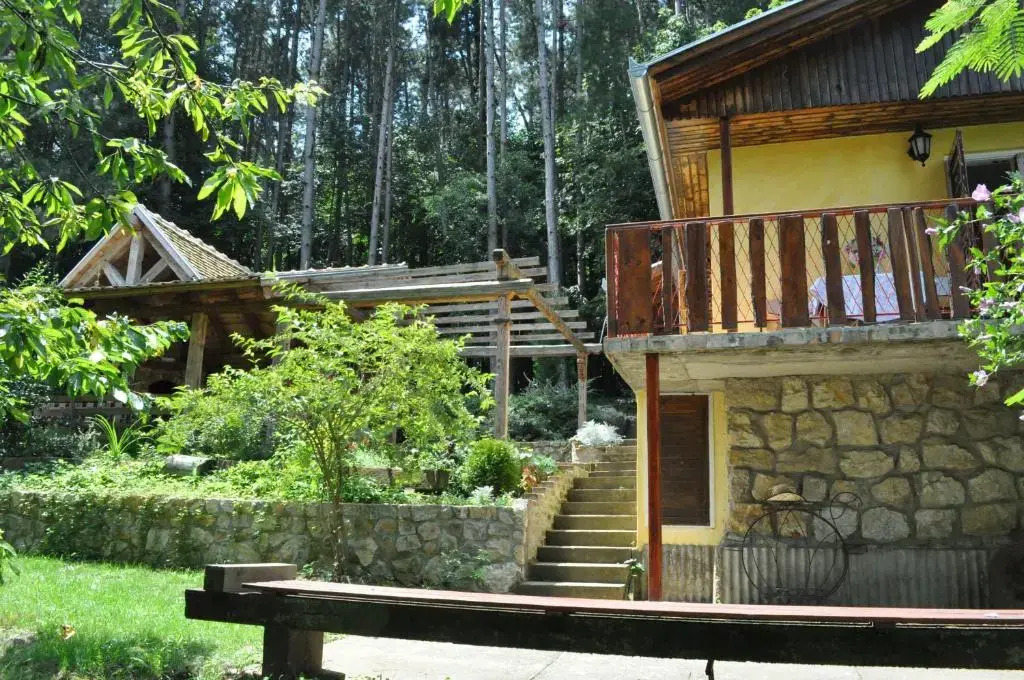 Apartments Borove Noci