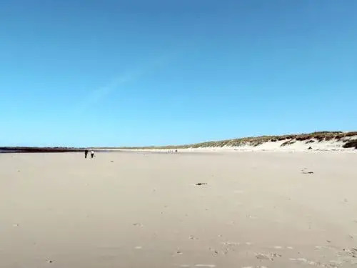 DE LA CoTE (PLU115)