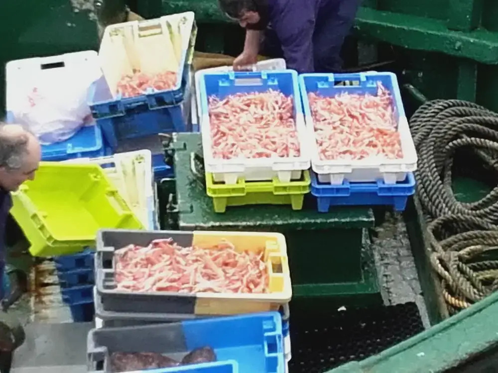L'Eclose Men Meur