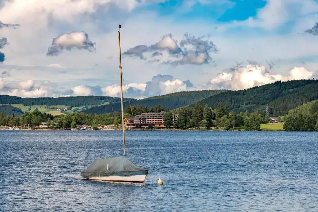Ferienwohnung Seeblick Nr 3, 2 Zi-Bärental, Feldberg