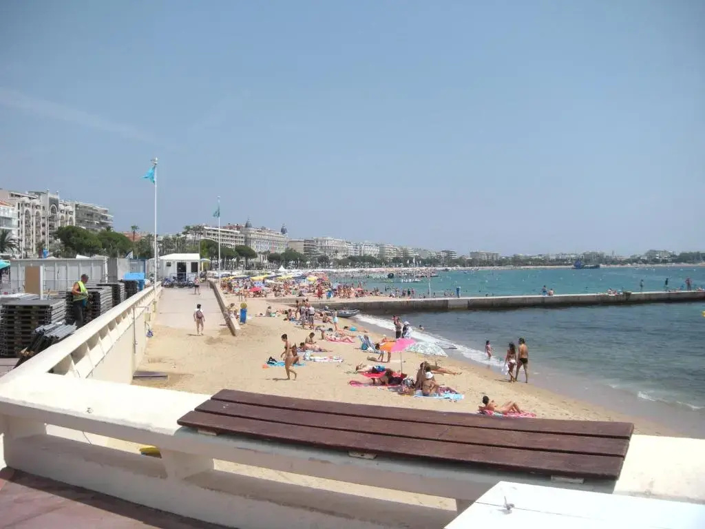 Nature 2 pièces 3 étoiles calme plein centre cannes 5 mn des plages et Palais