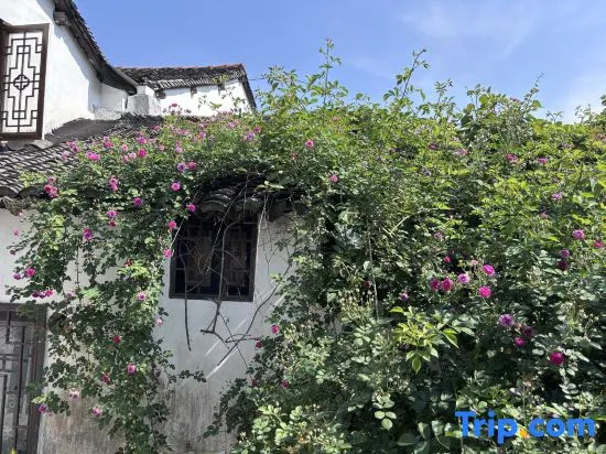 Xitang Chunye · Warm Dream Light Luxury Homestay