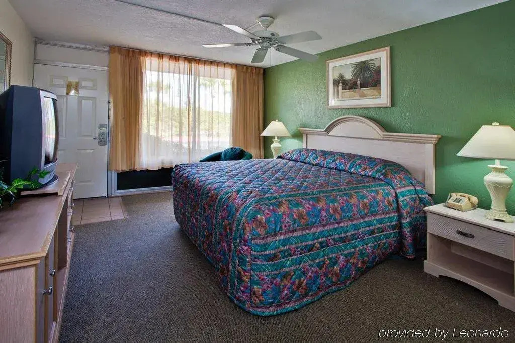 Magic Tree Resort Magic Tree Resort