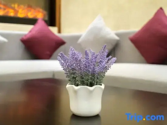 Lavande Hotel (Tai'an Wanda Plaza Taishan International Exhibition Center)