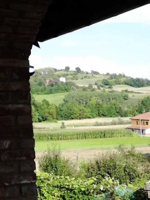 L'Arziga'
