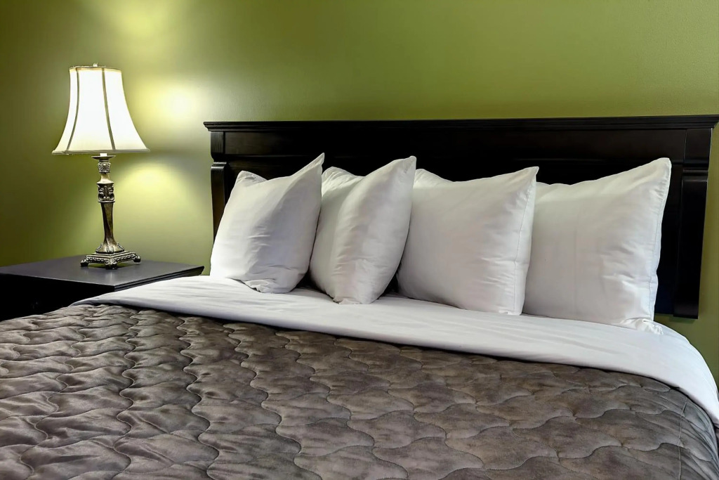 Hotel & Suites Monte-Cristo