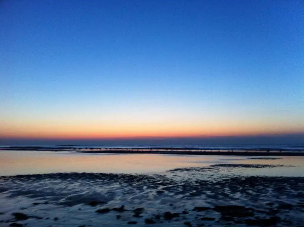 Beach 51