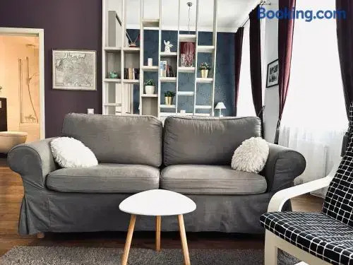 Vilnius street apartment