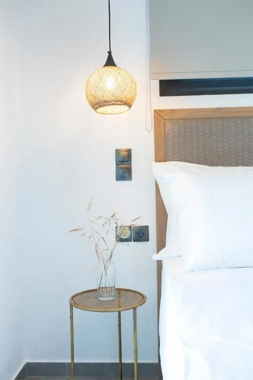 SEASCAPE VILLAS VASSILIKI - Beachfront villas