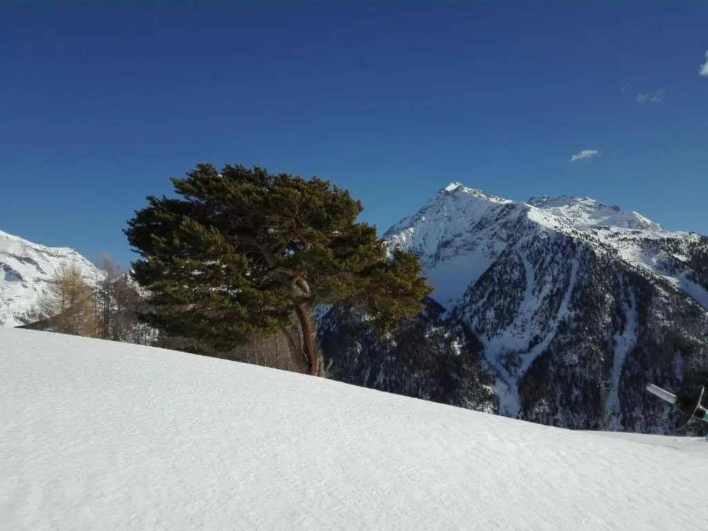 Mountain Adventures Cabin - Affitti Brevi Italia