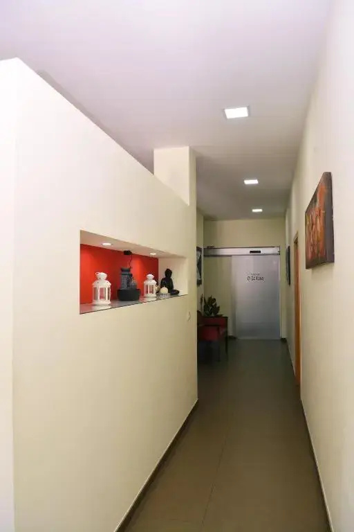 Ze Luis