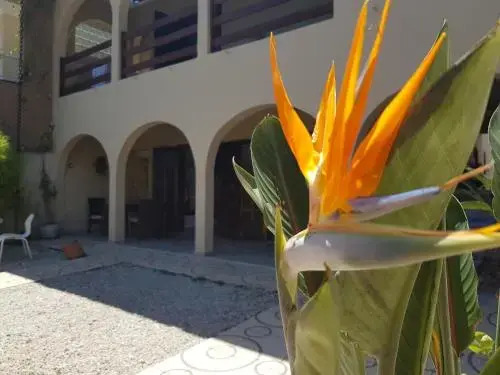 Santo Quintal Hostel