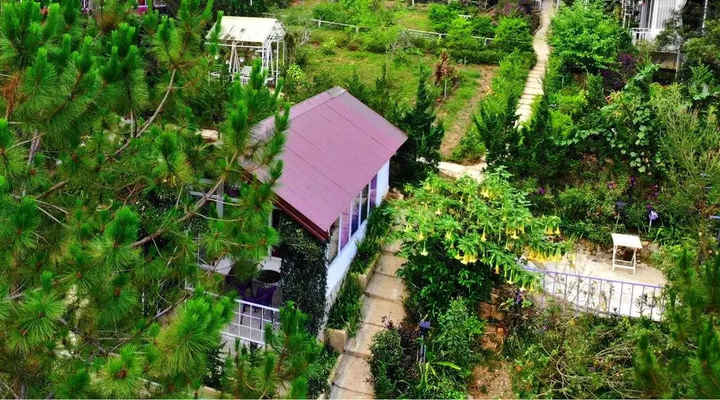 Pine Hill Homestay Dalat