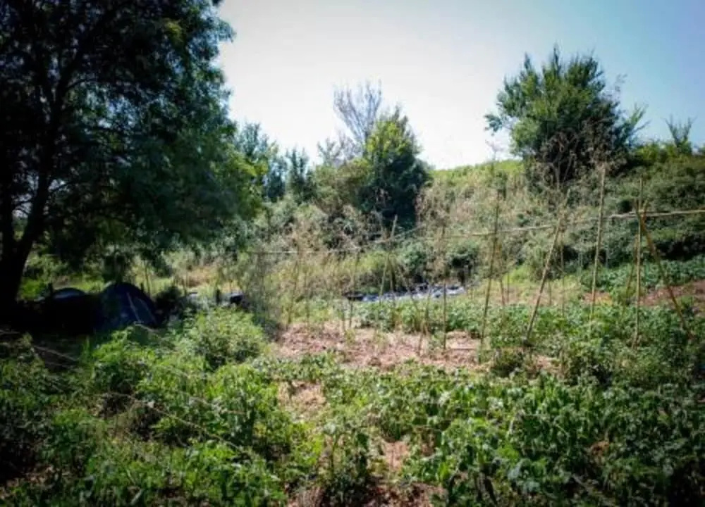 Holiday Home Le Fournil in Manhay With Garden