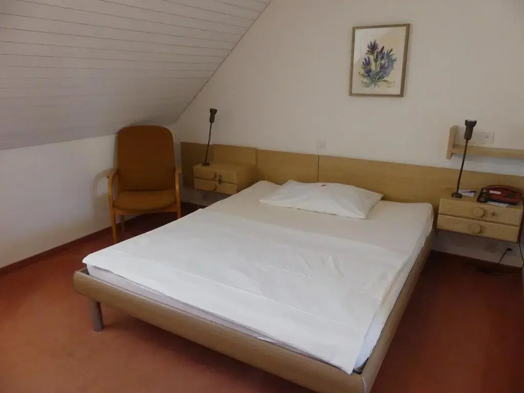 Hotel Adler