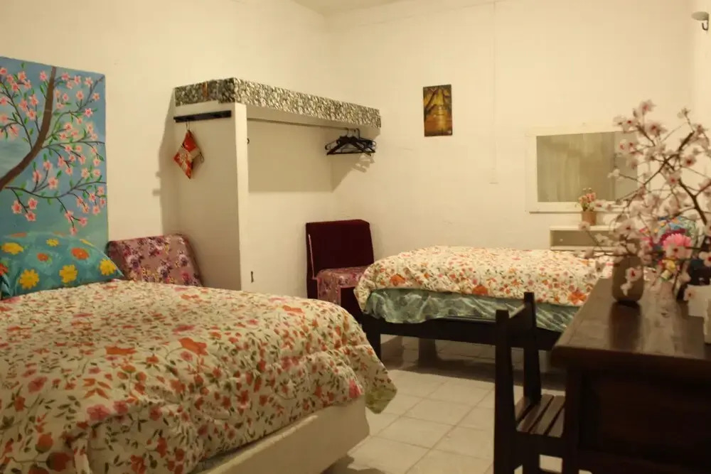 La Casa del Árbol Cancun