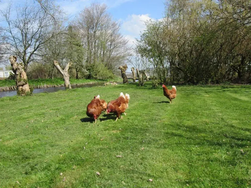 Bed&Brood De StraVerdonk