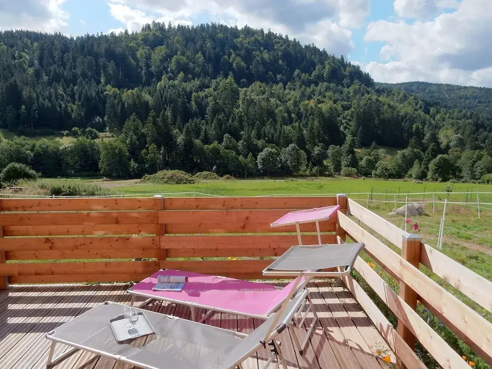 Alluring Chalet in Gérardmer With Terrace