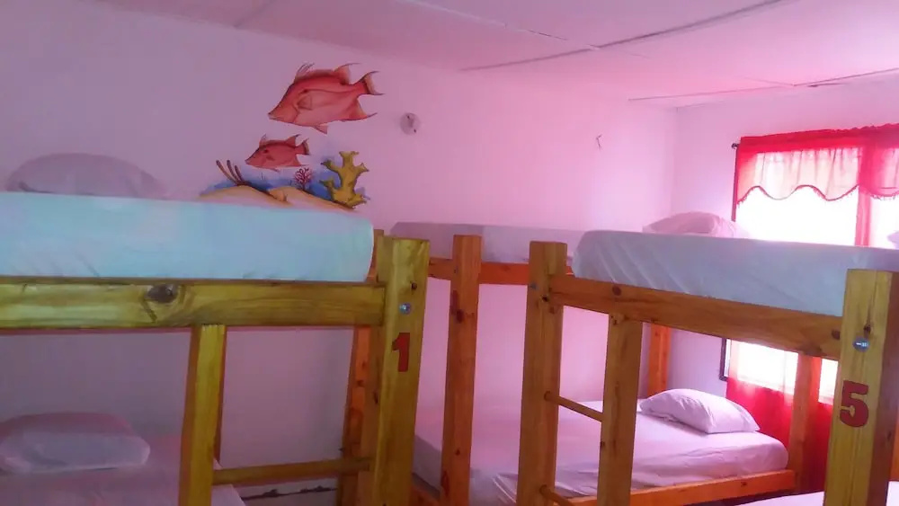 Taganga Paradise Hostal & Diving - Hostel