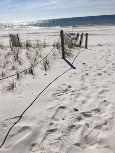 Magnolia Dunes