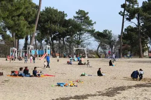 Grande villa bassin d’Arcachon, spacieuse et lumineuse 10 personnes