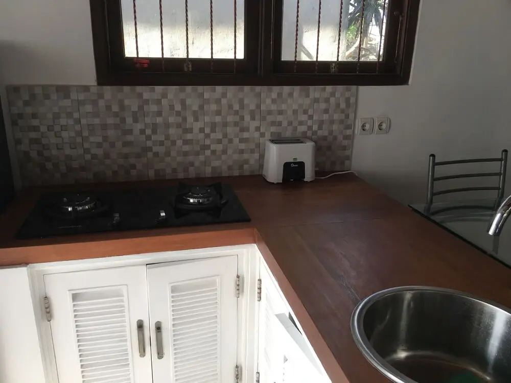 Ayung house