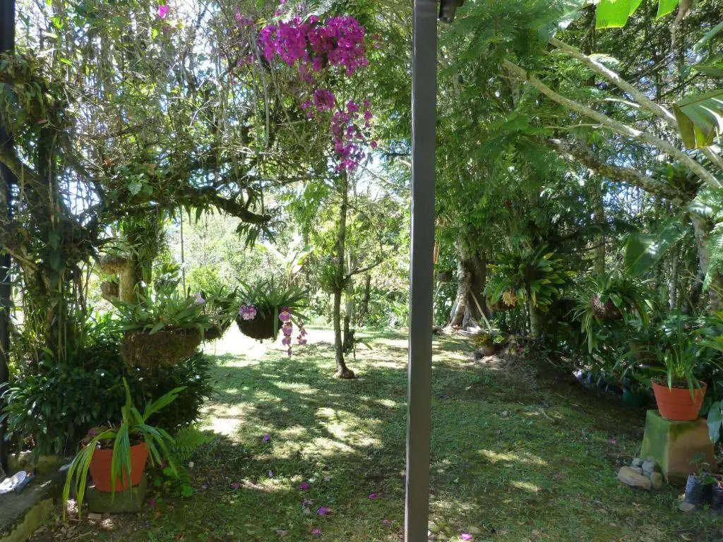 Casa Jade