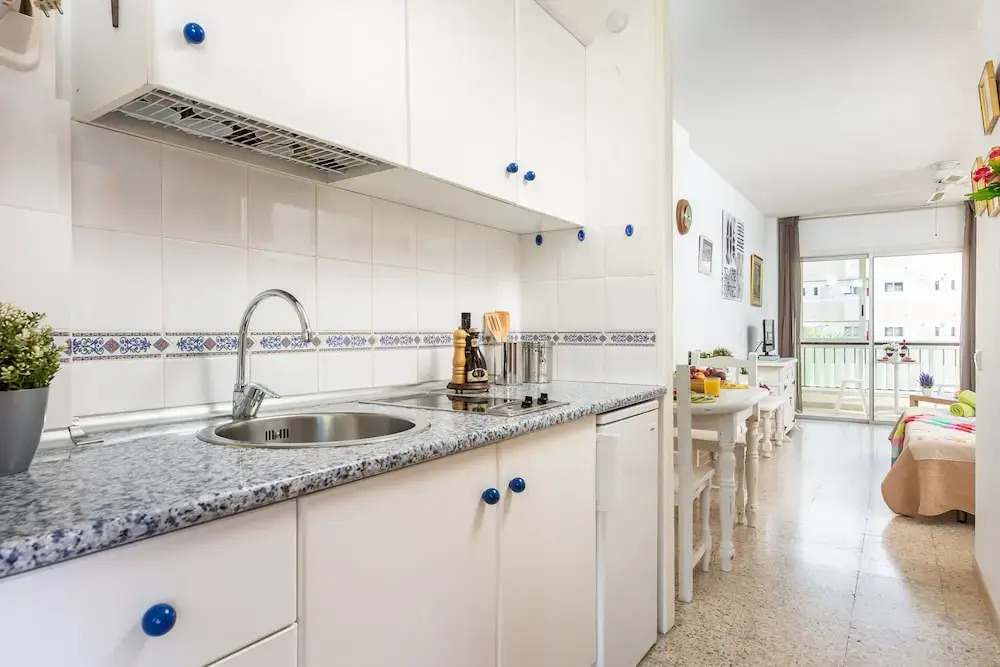 530 Big Studio with Terrace