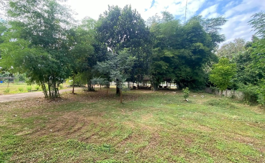 baan thammada