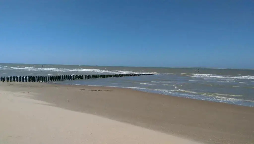 Park Schoneveld: Zeester 64