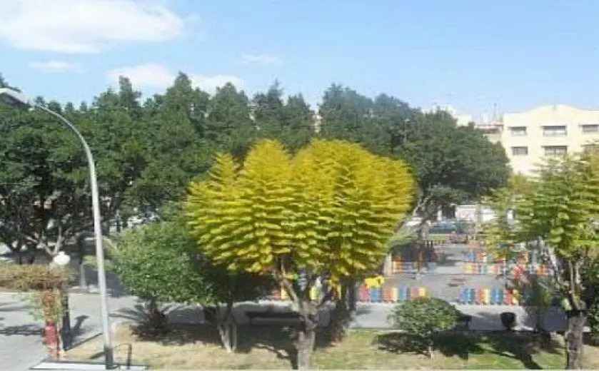 Apartamento De Elche