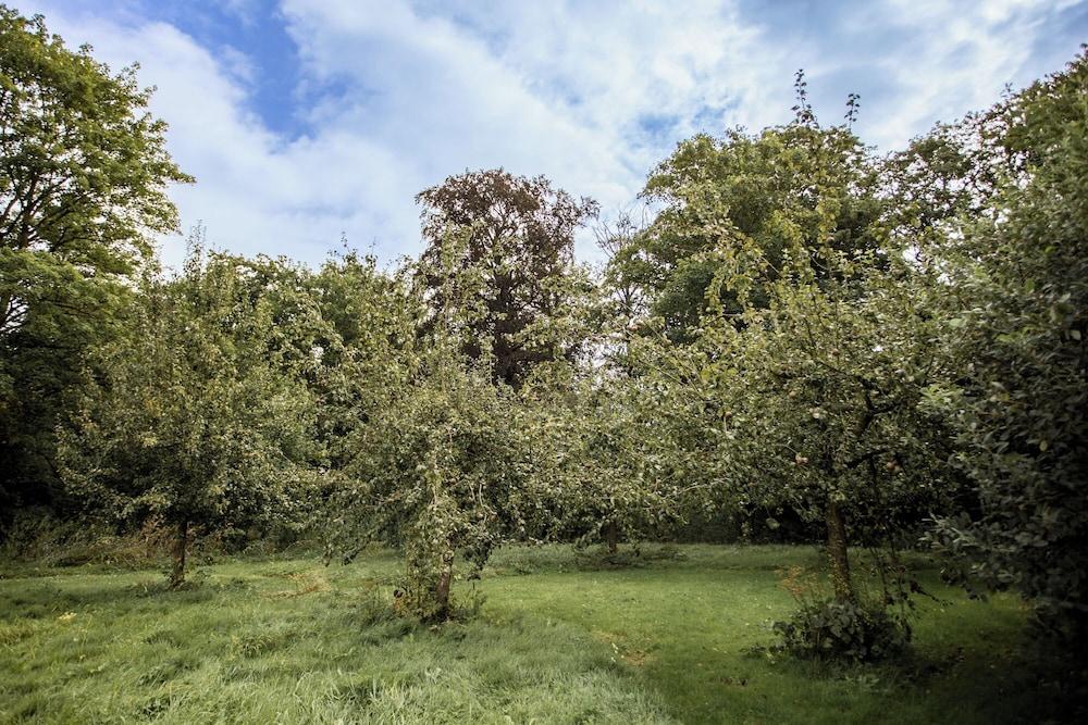 Landgoed Loenen B&B