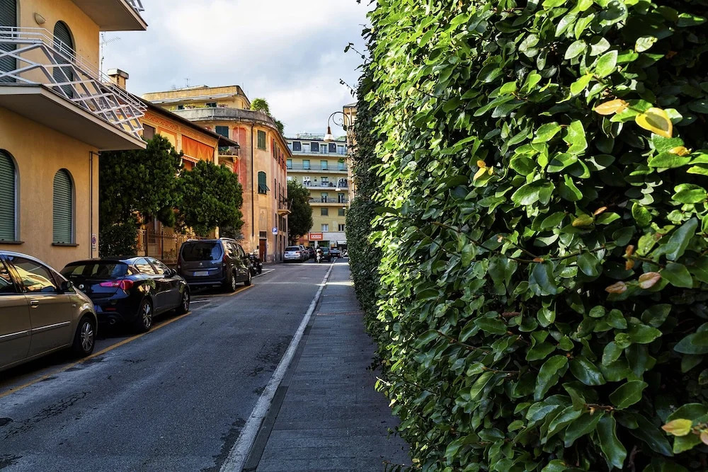 S Margherita Family Apartment With Terrace