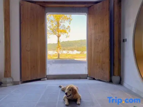 Mount Huangshan Guju Home stay (Chengkan Ancient Town Store)