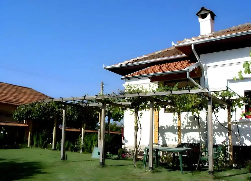 Grandpa House
