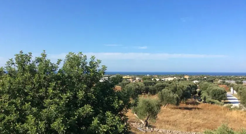 B&B "Le Amarene"