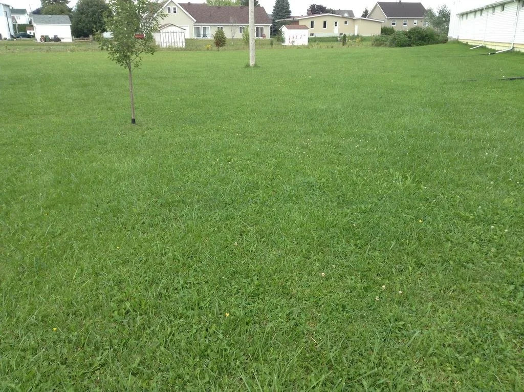 Motel du Cours d'Eau