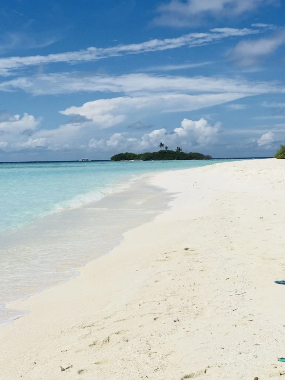White Coral Rasdhoo